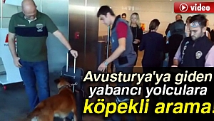 Avusturya'ya giden yabancı yolculara köpekli arama!