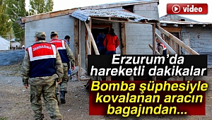Bomba şüphesiyle kovalanan aracın bagajından buzağı çıktı