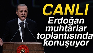 Cumhurbaşkanı Erdoğan: Rahat yüzü göremeyecekler