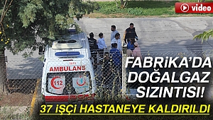 Denizli'deki fabrikada doğalgaz sızıntısı