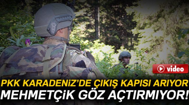 Doğu'da sıkışan PKK Karadeniz'de çıkış kapısı arıyor