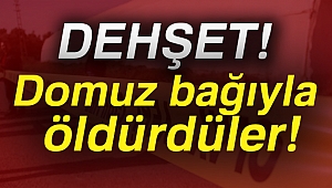 Domuz bağıyla öldürdüler