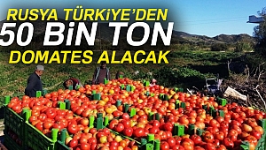 Rusya’dan Türk domatesi açıklaması