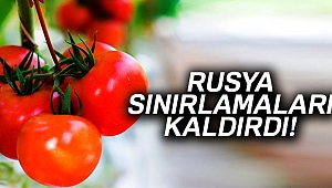 Rusya, Türk Domatesine Uygulanan Sınırlamaları Kaldırdı