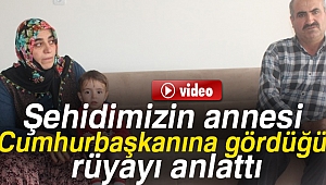 Şehidin annesi, Cumhurbaşkanına gördüğü rüyayı anlattı