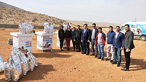 Sokak Hayvanları İçin Mama, Kulübe Ve Beslenme Odağı Desteği 