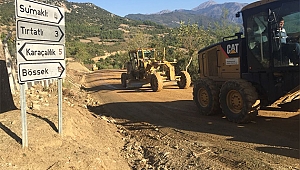 SUMAKLI YOLUNDA FİLLER SERİMİ