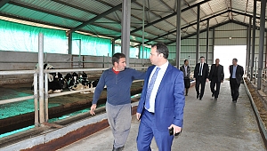 TKDK’dan Kahramanmaraş’a 100 milyon lira hibe ödemesi