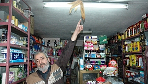 25 Yıllık Mısır Koçanı Bakkalın Tavanını Süslüyor