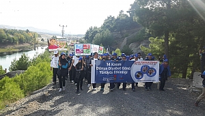 Akmod Gönüllüleri Diyabet Yürüyüşüne Tam Destek Verdi