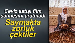 Ceviz satışı film sahnesini aratmadı