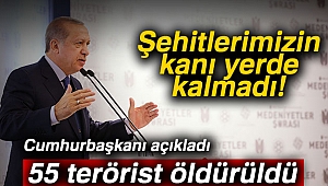 Cumhurbaşkanı Erdoğan: '55 teröristi etkisiz hale getirdik'