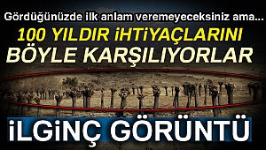 Dalsız yapraksız orman dikkat çekiyor