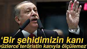 Erdoğan: Bizim bir şehidimizin kanı yüzlerce teröristin kanıyla ölçülemez