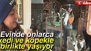 Evinde onlarca kedi ve köpekle birlikte yaşıyor