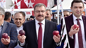 Göksun’da 6. Elma Festivali Düzenlendi