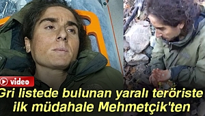 Gri listede bulunan yaralı teröriste ilk müdahale Mehmetçik'ten