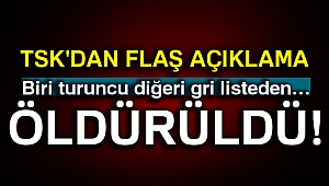 Gri ve turuncu listede aranan teröristler etkisiz hale getirildi