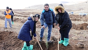 Her Öğretmene Bir Fidan 