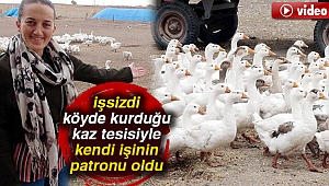 İşsizdi, köyde kurduğu kaz tesisiyle kendi işinin patronu oldu