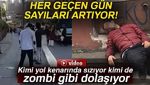 İstanbul’da bonzai manzaraları kamerada