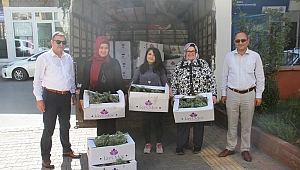 Kahramanmaraş'taki Kadın Çiftçiler Lavanta Yetiştirecek.