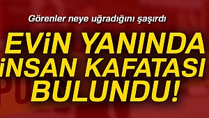 Kayseri'de insan kafatası bulundu