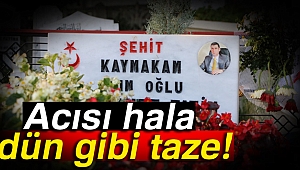 Makamında şehit edilen kaymakamın acısı hala dün gibi taze