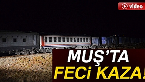 Muş Bulanık karayolunda kaza
