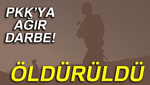 PKK'nın sözde özel güç sorumlusu etkisiz hale getirildi