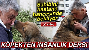 Sahibini hastane bahçesinde bekleyen köpekten insanlık dersi
