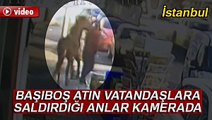 Sarıyer'de başıboş atın vatandaşlara saldırdığı anlar kamerada