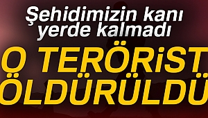 Şehidin kanı yerde kalmadı |Diyarbakır haberleri