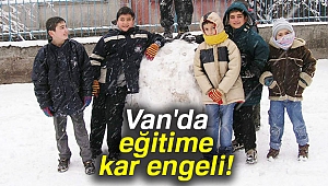 Son dakika tatil : Van'da okullar tatil mi? (24 Kasım Cuma Van'da okullara kar tatili)