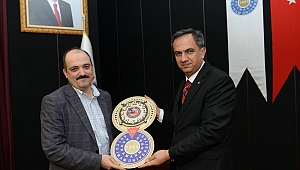 Tarihçiler İçin Edebiyatın Önemi