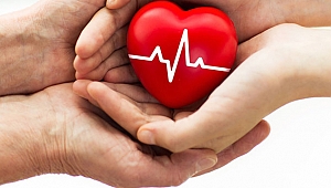 Türkiye Canlı Organ Bağışında İlk Sırada