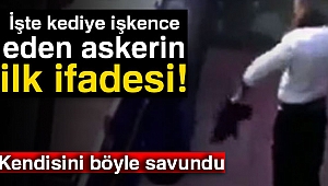 İşte kediye işkence eden askerin ilk ifadesi!