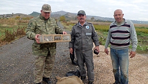 Kaçak Avcılara Jandarma Baskını 