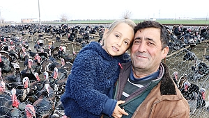 Kahramanmaraş'ta hindiler hazır