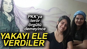 PKK'ya 'terör örgütü' diyemediler!