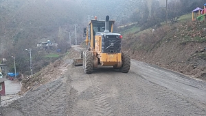 Sadıklı-kalekaya yolunda filler serimi