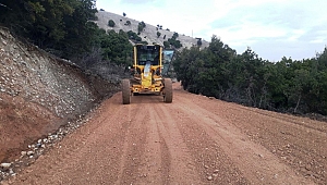 Armutlu Yolunda Filler Çalışması