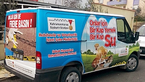Büyükşehir 4 Bin Sokak Hayvanına Sahip Çıktı