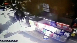 Ceviz hırsızı yakalandı 