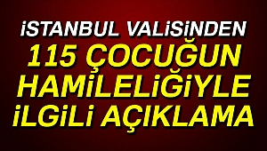İstanbul Valisi Şahin, 115 çocuğun hamileliğiyle ilgili konuştu