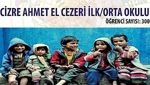 Kahraman gençler Cizre’ye gönül köprüsü kuruyor