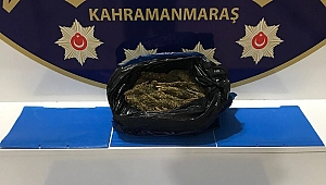  Kahramanmaraş’ta Uyuşturucu Operasyonları