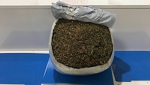 Öncü araçlı uyuşturucu şebekesi yakalandı