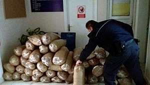  Otomobilden 265 Kilogram Tütün Çıktı 