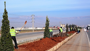 Refüjlerde düzenleme çalışmaları